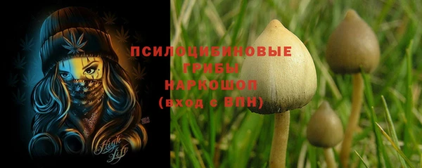 ECSTASY Пестово