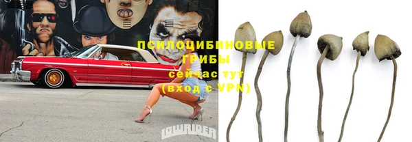 амф Переславль-Залесский