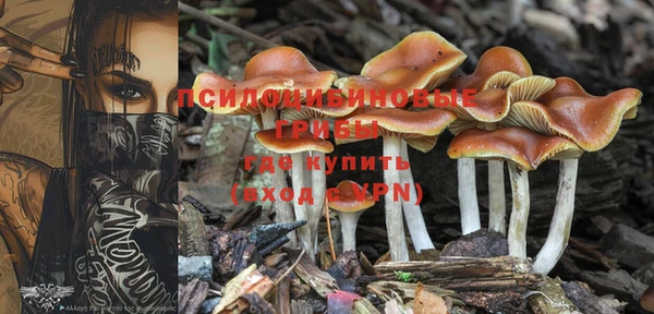 амф Переславль-Залесский