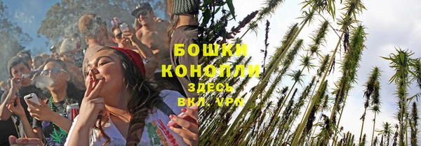 ПСИЛОЦИБИНОВЫЕ ГРИБЫ Пересвет