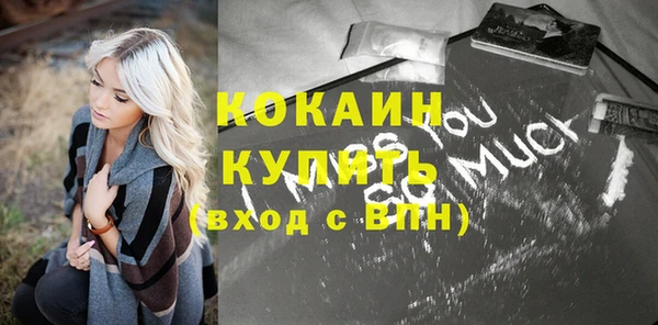 ПСИЛОЦИБИНОВЫЕ ГРИБЫ Пересвет