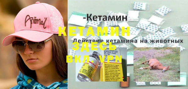 амф Переславль-Залесский