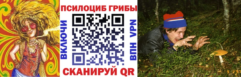 наркотики  Тырныауз  Галлюциногенные грибы мицелий 